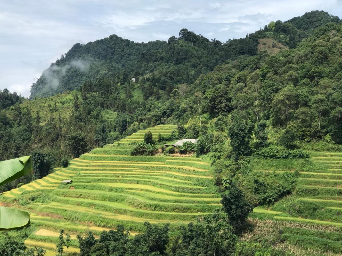 So H'Mong Homestay Bac Ha  Exteriör bild