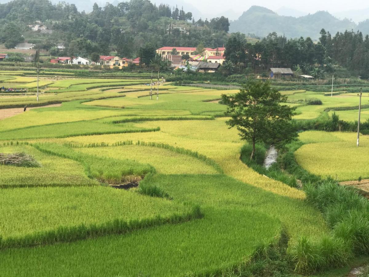 So H'Mong Homestay Bac Ha  Exteriör bild