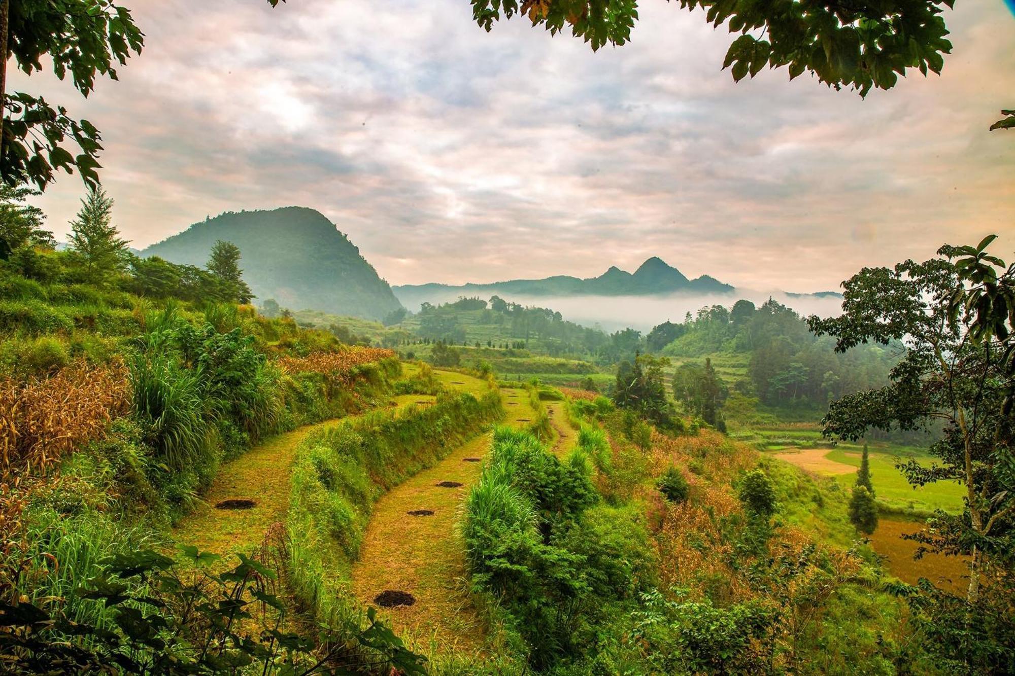 So H'Mong Homestay Bac Ha  Exteriör bild