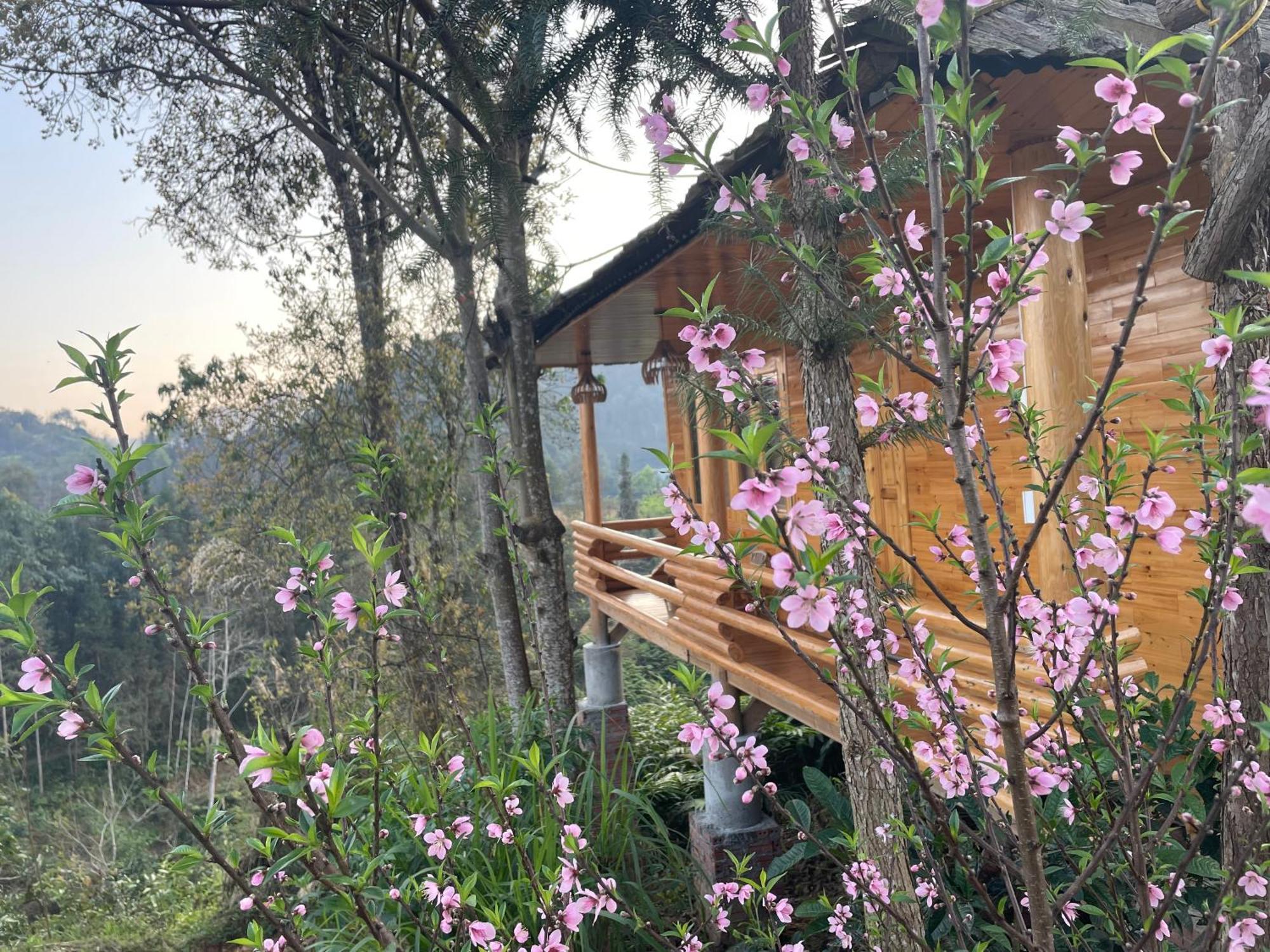 So H'Mong Homestay Bac Ha  Exteriör bild