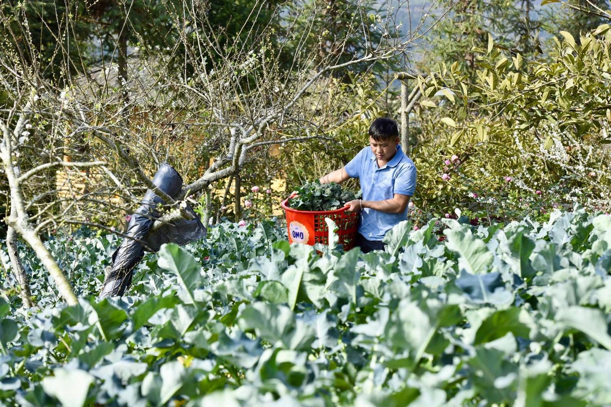 So H'Mong Homestay Bac Ha  Exteriör bild