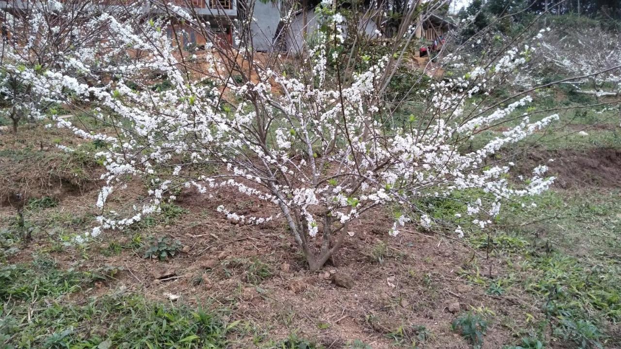 So H'Mong Homestay Bac Ha  Exteriör bild